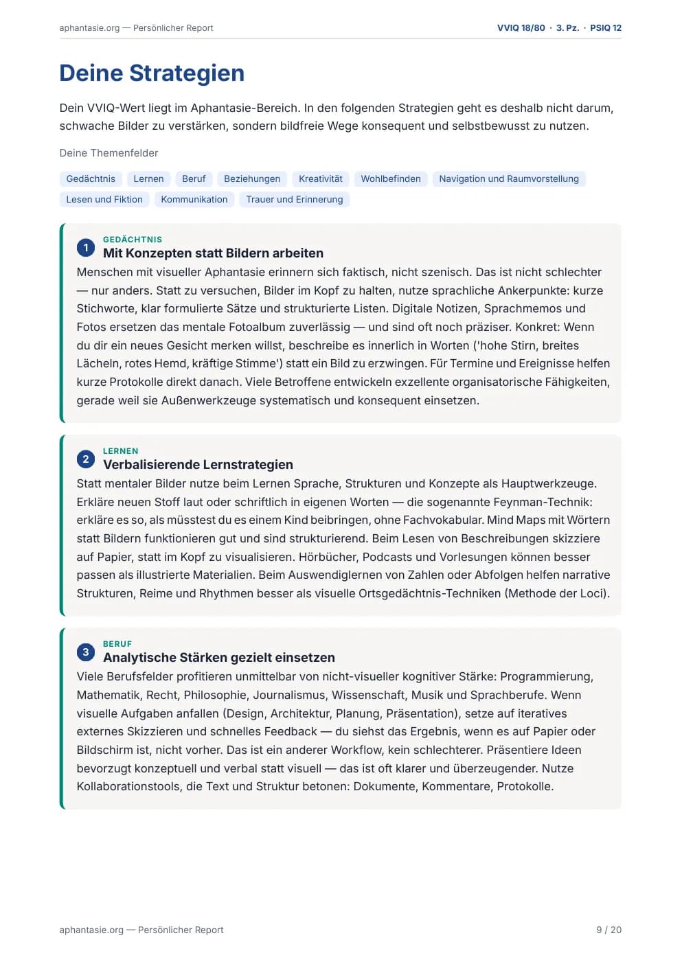 Report-Seite: Persönliche Alltagsstrategien mit Themenfeldern